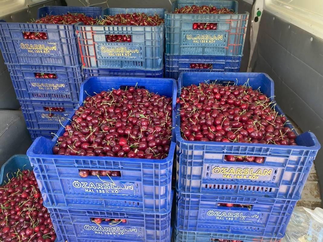 O kentte dağın tepesinde yetişiyor: Kilosu 80 TL! Kan dolaşımını hızlandırıyor, enerji veriyor 7